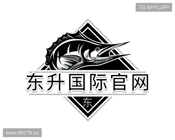 纵览东升国际官网